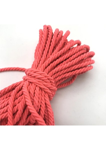 No.10 Tarzı 10 Yards Paracord Halat Strand Polipropilen Halat Ev Dekorasyon Aksesuarları Bilezik Rustik Ev Dekorasyonu Için Halat (Yurt Dışından)