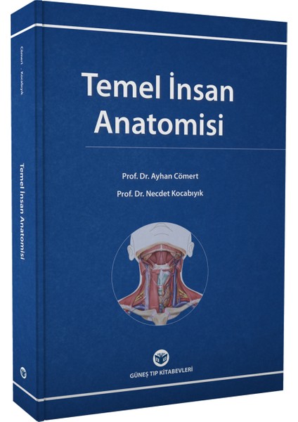 Temel İnsan Anatomisi