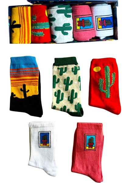 Socks And More Kaktüs Desenli 5'li Çorap Kutusu Unisex Renkli