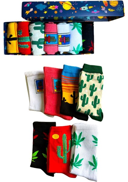 Socks And More Kaktüs Bitki Desenli Renkli 7'li Çorap Kutusu Unisex Renkli