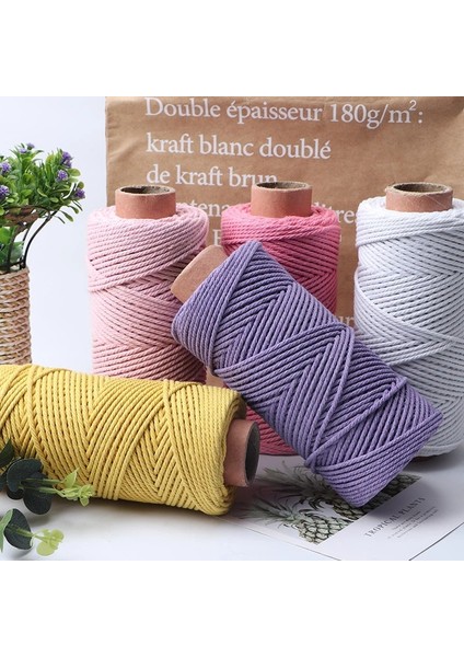 Bej Tarzı 3mm Pamuk Kordon Renkli Halat Kordon Bej Bükülmüş Makrome Kordon Dize Dıy Craft Ev Tekstili Düğün Dekoratif Tedarik 110 Yards (Yurt Dışından)