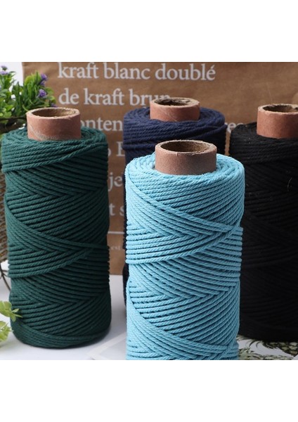 Bej Tarzı 3mm Pamuk Kordon Renkli Halat Kordon Bej Bükülmüş Makrome Kordon Dize Dıy Craft Ev Tekstili Düğün Dekoratif Tedarik 110 Yards (Yurt Dışından)