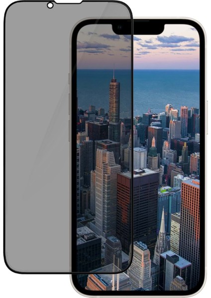 D+ Apple iPhone 13/13 Pro/14 Privacy Ekran Koruyucu fiyatları