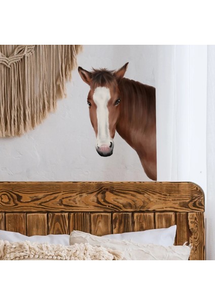 CT2012-KQ Stili 30*40CM Karikatür Hayvan At Duvar Sticker Oturma Odası Pencere Sticker Çocuk Odası Dekorasyon Elektrostatik Duvar Sticker (Yurt Dışından) fırsatları