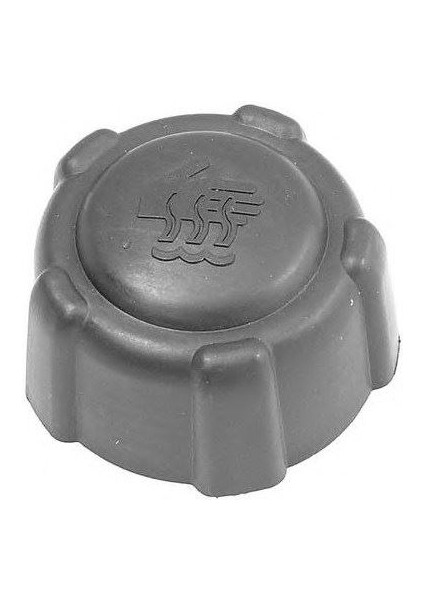 BRL-0032-500SA Genleşme Kavonoz Kapağı Sarı Albea-Palı...