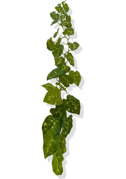 Yapay Zincir Sarmaşık 175 cm fırsatları
