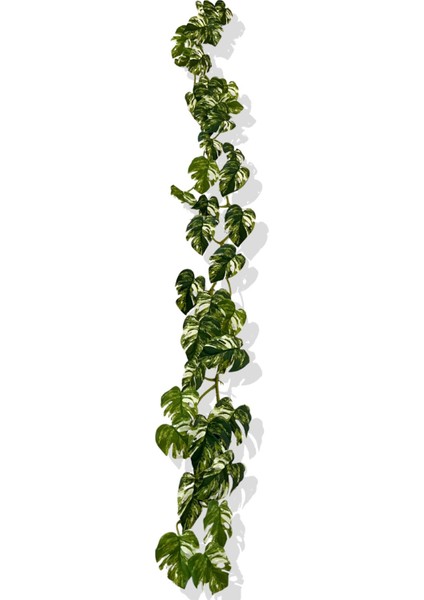 Yapay Zincir Sarmaşık 175 cm