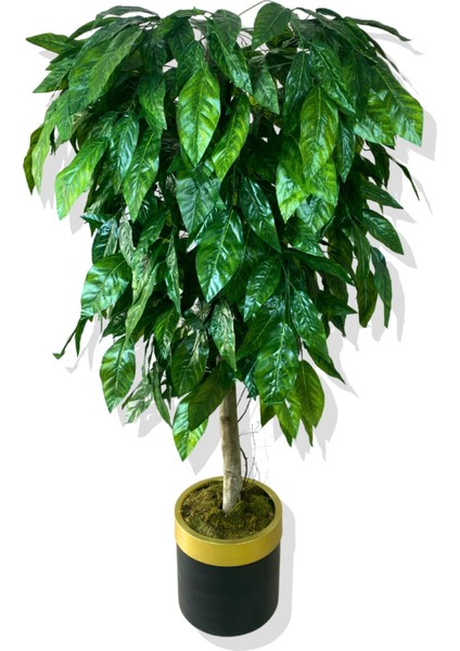 Yapay Yeşil Ceviz Ağacı 180 cm Gold Kemerli 30X30 Saksı