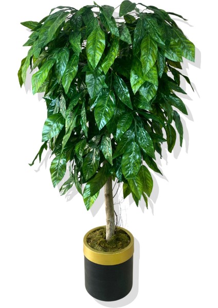 Yapay Yeşil Ceviz Ağacı 180 cm Gold Kemerli 30X30 Saksı fiyatları