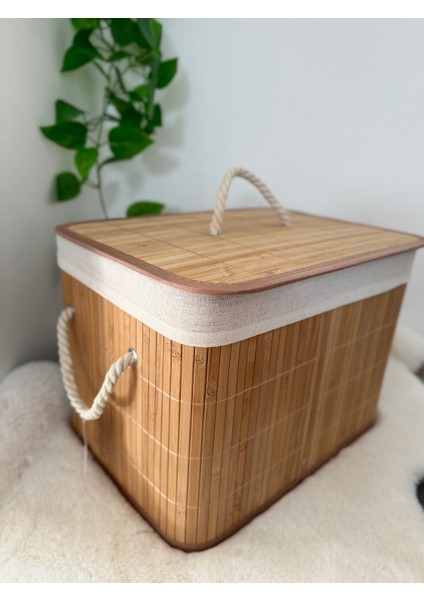 Home Naturel Bambu Düzenleyici Organizer Bambu Sepet Bambu Kutu