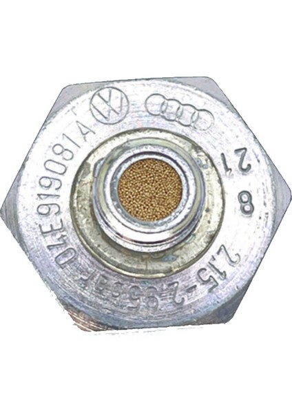 Volkswagen Golf 8 2.0 Tsı Benzinli Yağ Basınç Müşürü modelleri