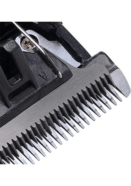 [gui Xulian] 5x Siyah Seramik Titanyum Bıçak Pet Köpek Saç Düzeltici Bıçak Kesme Kafası P2 P3 P6 P9 S1 ZP-295 ZP-293 4 (Yurt Dışından) indirimleri