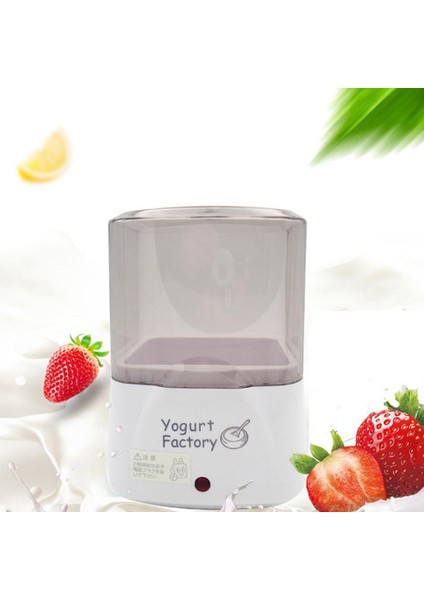 Gui Xulian Yoğurt Makinesi Otomatik Yoğurt Makinesi Ev Dıy Yoğurt Araçları Pirinç Şarabı Natto Makinesi Abd Plug (Yurt Dışından)