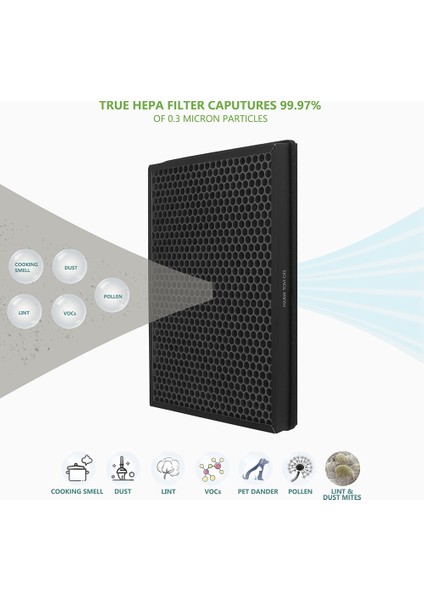 Gui Xulian 2 Adet TTAP003 TT-AP003 Hava Temizleyicileri Için Yedek Filtre H13 Sınıf Gerçek Hepa ve Aktif Karbon Filtre (Yurt Dışından) modelleri