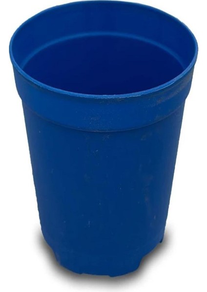 Katı Plastik Sukulent Saksısı 10 Adet Mavi (5.5 Cm)