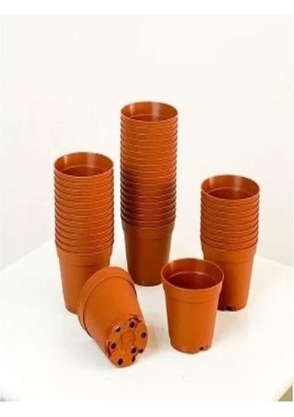 Katı Plastik Sukulent Saksısı 15 Adet Kahverengi (5.5 Cm)