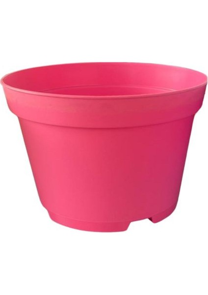 Katı Plastik Sukulent Saksısı 15 Adet Pembe (8.5 Cm)