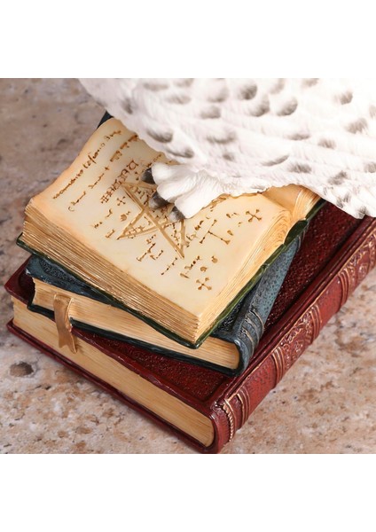 Kitap Üzerinde Beyaz Kar Baykuşu Hedwig Biblosu - Harry Potter fırsatları