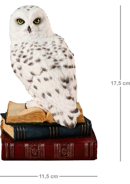 Kitap Üzerinde Beyaz Kar Baykuşu Hedwig Biblosu - Harry Potter indirimleri