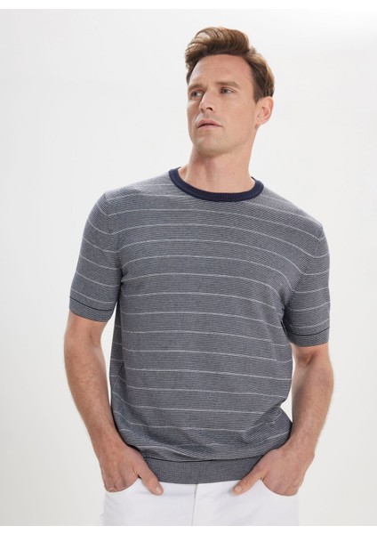 ALTINYILDIZ CLASSICS Erkek Lacivert-Beyaz Standart Fit Normal Kesim %100 Pamuk Çizgili Bisiklet Yaka Triko Tişört