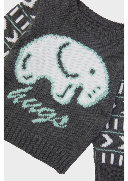 Erkek Bebek Gri Kazak 23FW0LT8402