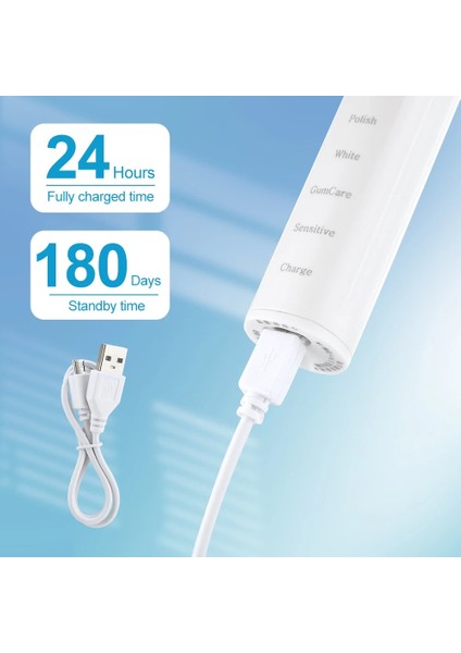 Kahverengi Tarzı Ultrasonik Elektrikli Diş Fırçası USB Şarj Edilebilir Diş Plak Temizleme 6 Ayarlanabilir Mod Ipx7 Dakika Yetişkin Diş Fırçaları (Yurt Dışından)