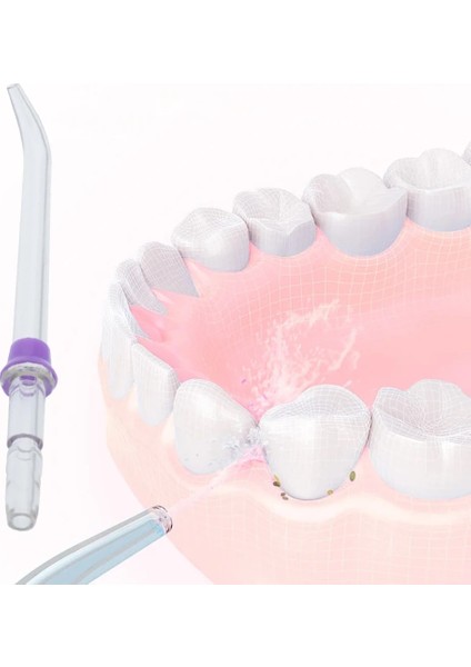 Beyaz Stil 4 Adet Jet Yedek Ucu Oral Irrigator Ergonomik Aksesuarlar Hijyen Ekstra Taşınabilir Meme Diş Pensesinde Standart Yıkama Diş (Yurt Dışından)