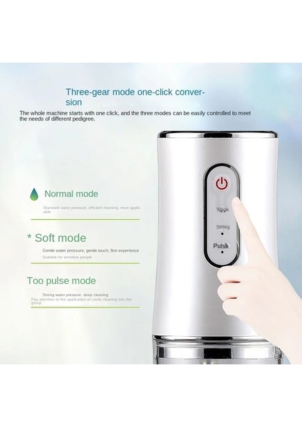 Yeşil Stil Güçlü Diş Su Jeti Pensesinde Ağız Yıkama Makinesi Taşınabilir Oral Irrigator Diş Beyazlatma Diş Temizleme Sağlık (Yurt Dışından)