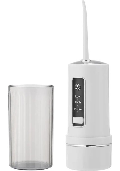 W104228W Tarzı Hailicare Elektrikli Diş Temizleyici Taşınabilir Ağız Yıkama Makinesi Ev Diş Su Jeti Oral Irrigatml Diş Sifonu (Yurt Dışından) indirimleri