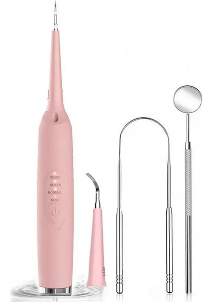 No.3 Tarzı Temizleme Kafaları ile Ultrasonik LED Elektrikli Oral Irrigator Kiti Ağız Aynası Dil Kazıyıcı Diş Taşı Sökücü Diş Beyazlatmak (Yurt Dışından)