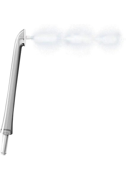 Sonicare Airfloss Için 2 Adet Meme H H H H H H H Oral Irrigator Memesi (Yurt Dışından)