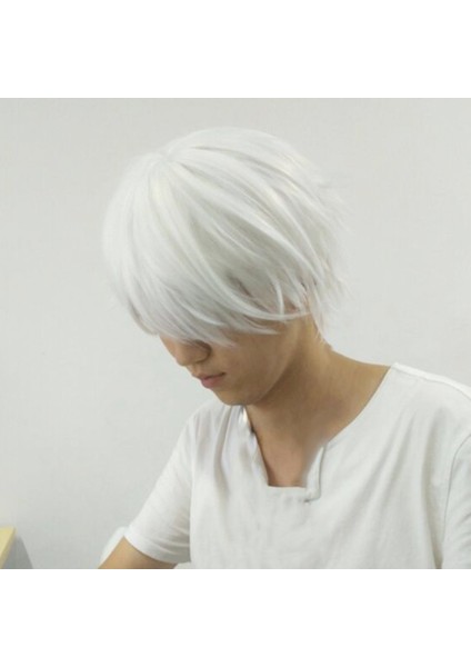 Cosplaying Anime Karakterleri Için Erkek Beyaz Peruk Düz Kısa Sentetik Peruklar (Yurt Dışından) fırsatları