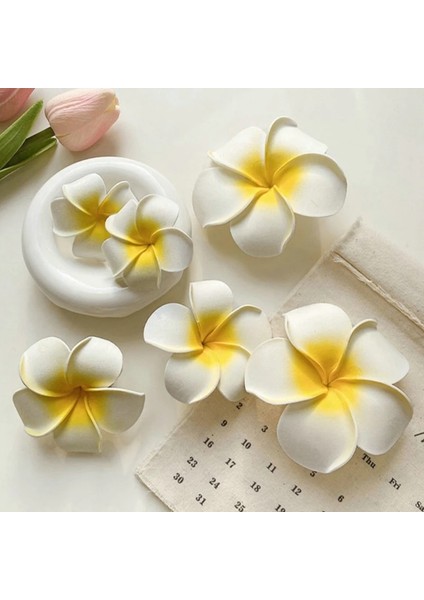 Plumeria Çiçek Saç Klipleri Kadınlar Için Tokalar Kızlar Yan Patlama Klipler Çiçek Tokası Hawaii Düğün Parti Çantası Şapka Aksesuarları (Yurt Dışından) indirimleri