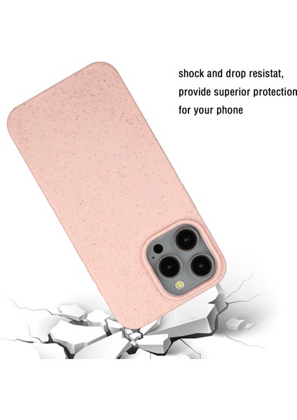 iPhone 12 Pro Telefon Kılıfı (Yurt Dışından)