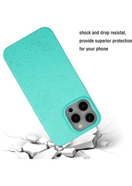 iPhone 12 Pro Telefon Kılıfı (Yurt Dışından)