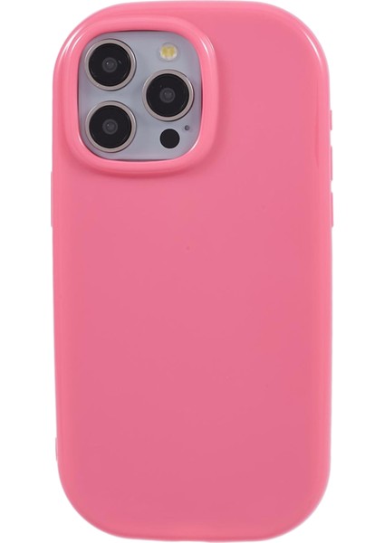 iPhone 13 Pro Max Telefon Kılıfı (Yurt Dışından)