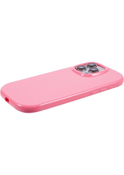 iPhone 13 Pro Max Telefon Kılıfı (Yurt Dışından) modelleri