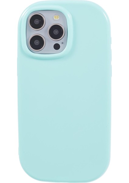 iPhone 13 Pro Max Telefon Kılıfı (Yurt Dışından)