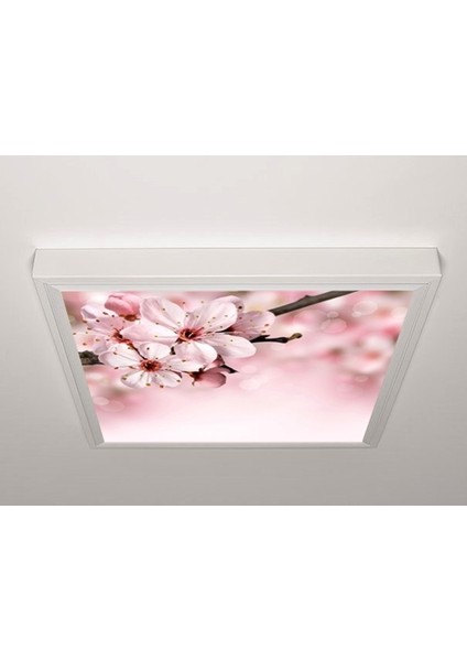 60X60 LED Panel Sıva Üstü Desenli Tekli 46510009SU