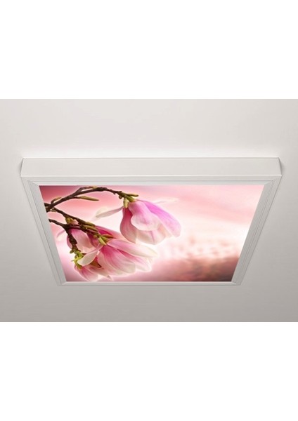 60X60 LED Panel Sıva Üstü Desenli Tekli 46510006SU