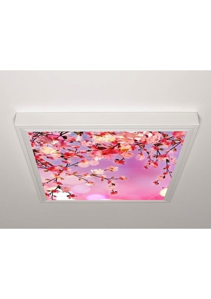 60X60 LED Panel Sıva Üstü Desenli Tekli 46510008SU