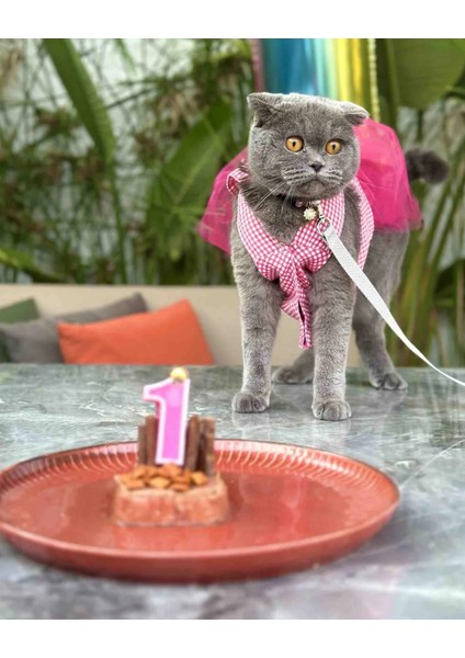 Pembe Kareli Kalpli Tüllü Kedi Köpek Kıyafeti Elbisesi