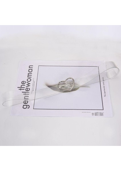 2022 Iki Sıralı Pvc Şeffaf Kemer Kadınlar Için Moda Pin Toka Kadın Beyaz Bel Pantolon Şeffaf Kemerler Bayan Kot Grommet Kemer (Yurt Dışından)