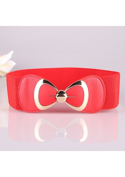 Kadınlar Için Yeni Sıcak Satış Kemerler Lüks Tasarımcı Marka Kadın Geniş Kemer Elastik Streç Cinch Kemer Bayan Metal Tokalı Kemer (Yurt Dışından) fiyatları