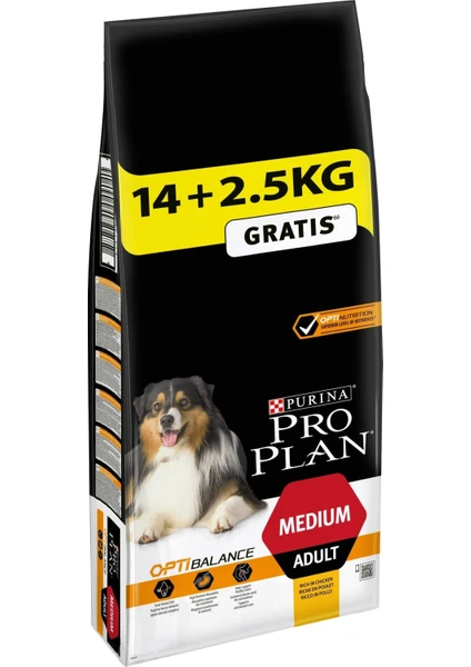 Proplan Medium Adult Tavuklu Yetişkin Köpek Maması 16,5 kg