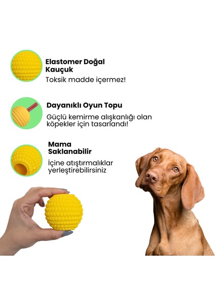 Doğal Kauçuk Köpek Isırma Topu Içine Ödül Maması Saklanabilen Köpek Oyuncağı Toksik Madde Içermez