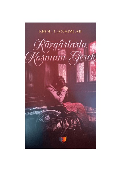 Rüzgarlarla Koşmam Gerek - Erol Cansızlar