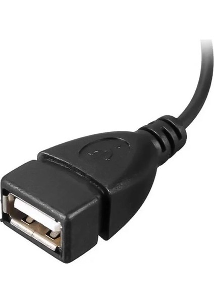 USB Dişi Micro USB Erkek-Dişi Y 20 cm Otg Kablo