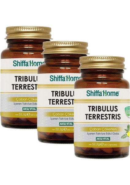 Tribulus Terrestris Çoban Çökerten 60 Kapsül | 3 Lü Paket