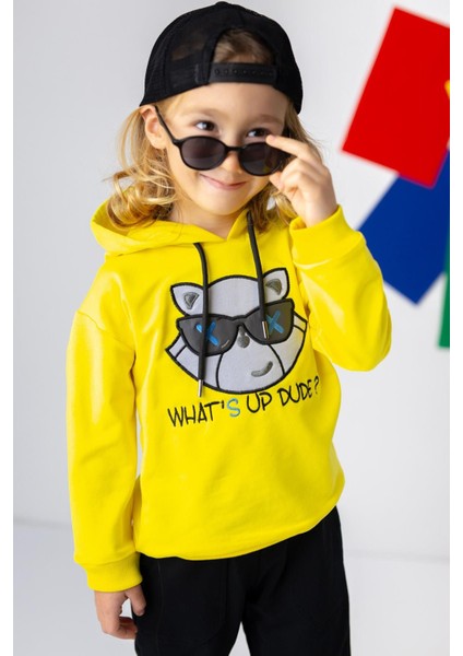 Erkek Çocuk Kedi Nakışlı Kapüşonlu Sweatshirt